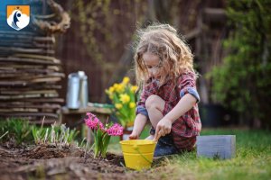 Westcliff Early Learning Academy Outdoor Classroom