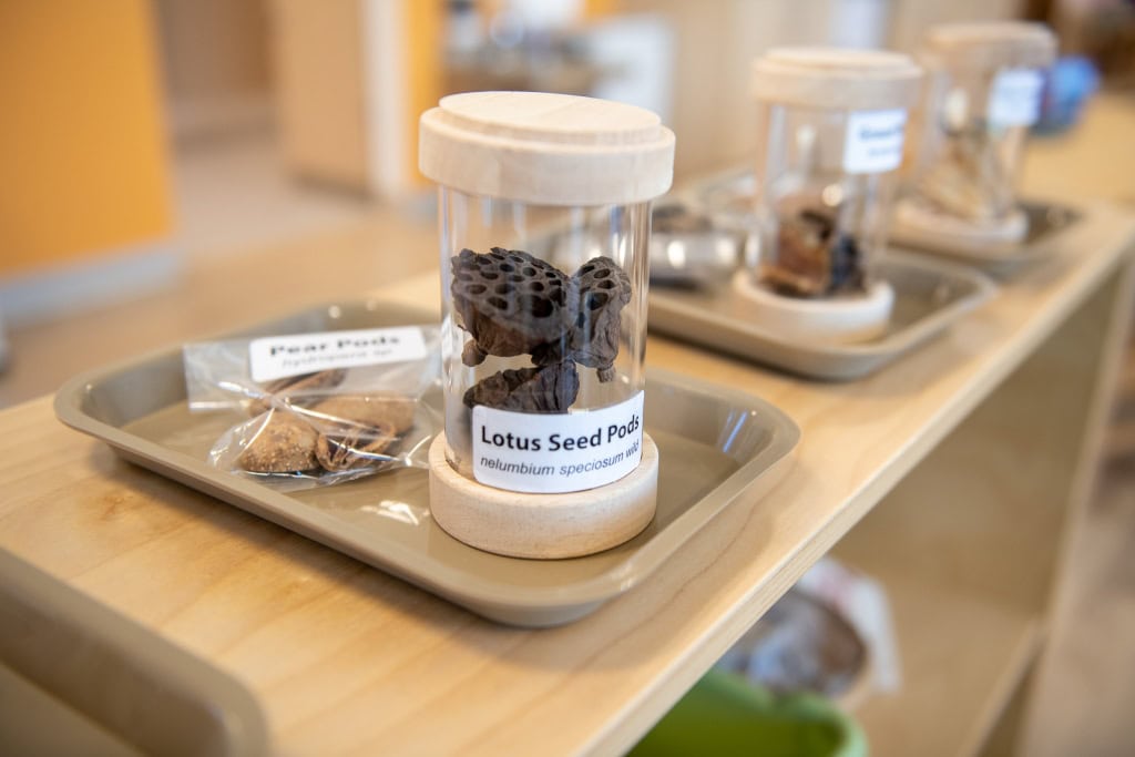 DSC_9341 Preschool children exploring outdoors in a nature-based learning environment